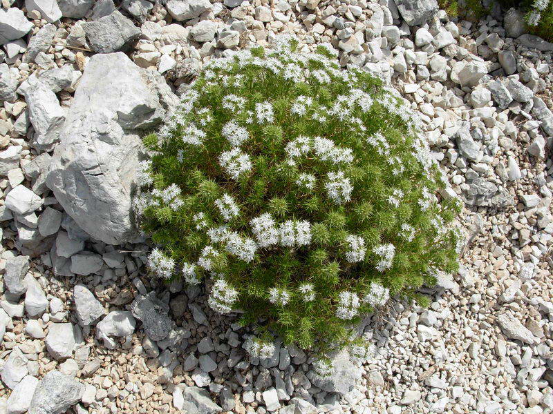 in alta quota nei miei Sibillini